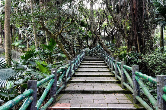 獅球嶺炮臺夜景